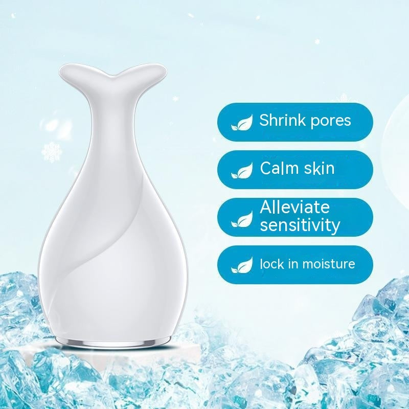 Ice Compress Hot And Cold Inductive Therapeutical Instrument